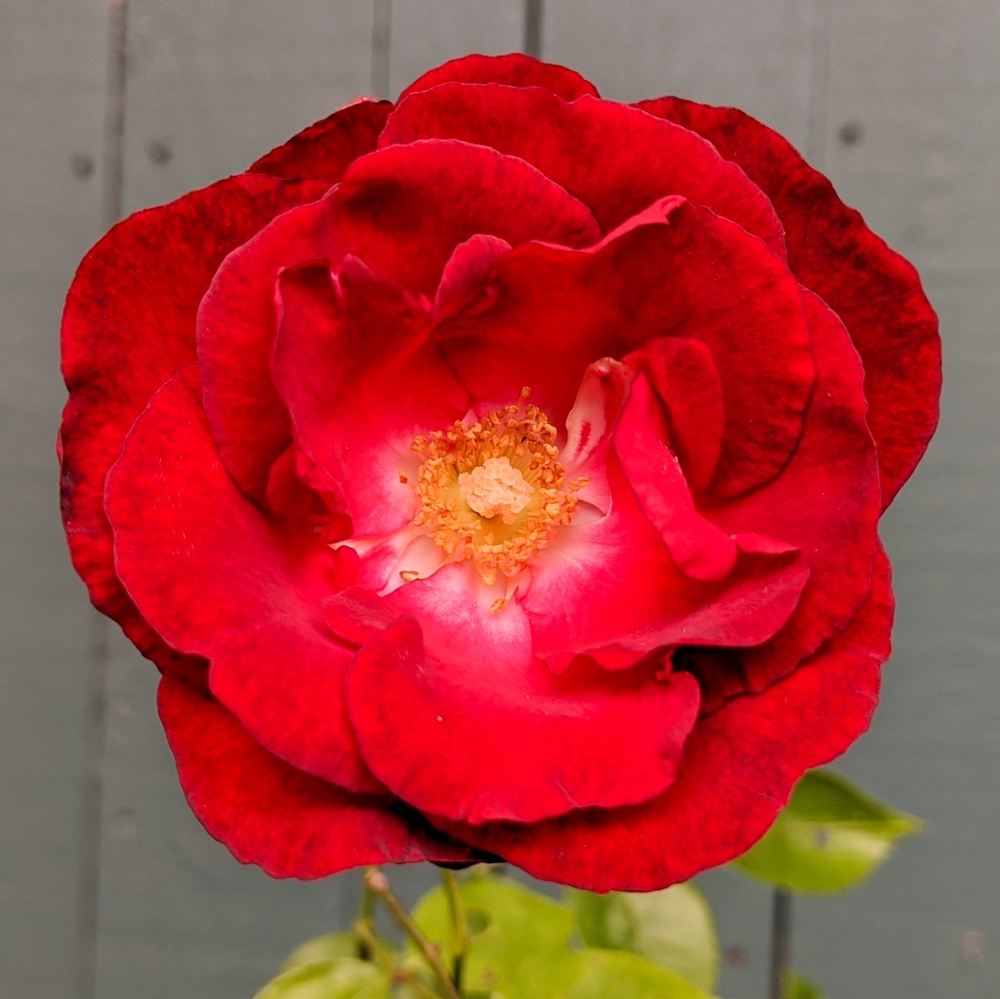 Bundle 2+, save 15%!